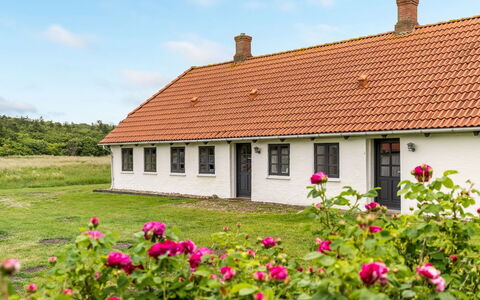 Nette - 15Km from the Sea: Sky, Grass, Roof, House, Home, Cottage, Plain, Rural Area, Landscape, Grassland