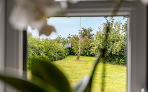Nette - 15Km from the Sea: Leaf, Vegetation, Land Lot, Spring, Sunlight, Woody Plant, Garden, Glass, Lawn