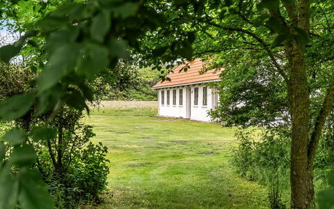 Nette - 15Km from the Sea: Tree, Grass, Leaf, Shrub, Rural Area, Land Lot, Plain, Home, Cottage, Lawn