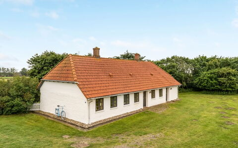 Nette - 15Km from the Sea: Sky, Grass, Roof, House, Cottage, Plain, Rural Area, Landscape, Home, Grassland