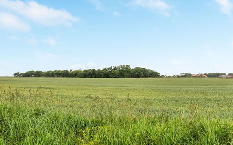 Nette - 15Km from the Sea: Sky, Blue, Green, Daytime, Grass, Natural Environment, Grassland, Field, Plain, Natural Landscape