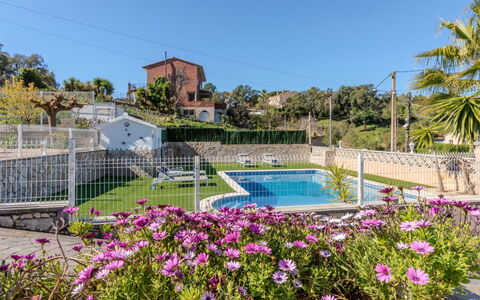 Abie: Garden, Fence, Landscaping, Estate, Shade, Yard, Swimming Pool, Hacienda, Backyard, Home Fencing