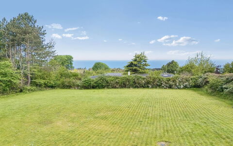 Heike - 650M from the Sea: Green, Shrub, Grassland, Groundcover, Garden, Meadow, Lawn, Pasture, Landscaping, Park