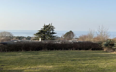 Heike - 650M from the Sea: Sky, Plain, Land Lot, Lawn, Landscaping, Evergreen, Park