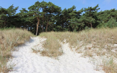 Yaris - 4.5Km from the Sea: Blue, Cottage, House, Home, Farmhouse, Estate, Siding