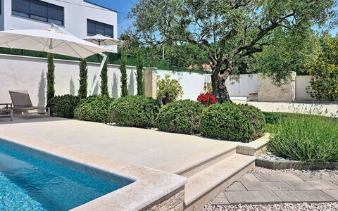 Villa Roza: Garden, Shrub, Landscaping, Groundcover, Flagstone, Shade, Swimming Pool, Yard, Courtyard