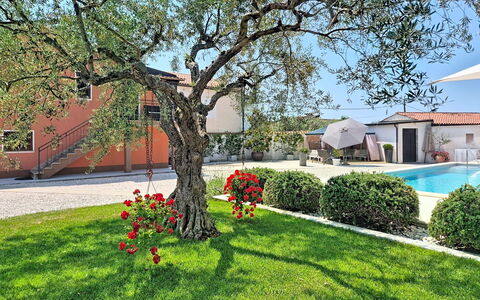 Villa Roza: House, Garden, Shade, Estate, Hacienda, Landscaping, Yard, Courtyard, Villa