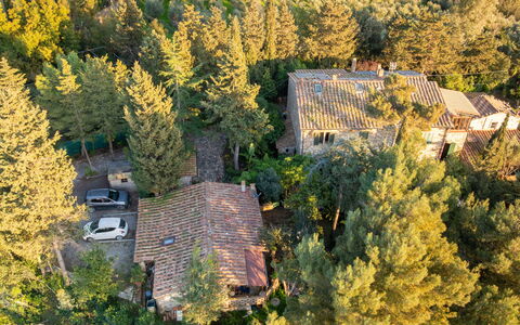 Rosignano Marittimo 13: Tree, Vegetation, Shrub, Architecture, House, Landscape, Home, Rural Area, Plant Community, Estate