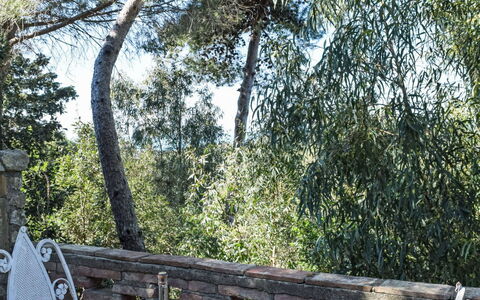Rosignano Marittimo 13: Furniture, Outdoor Furniture, Chair, Table, Outdoor Table, Garden, Shade, Tablecloth, Kitchen & Dining Room Table, Spring