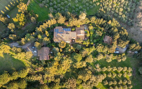 Rosignano Marittimo 13: Tree, Vegetation, Shrub, Architecture, House, Landscape, Home, Rural Area, Plant Community, Estate