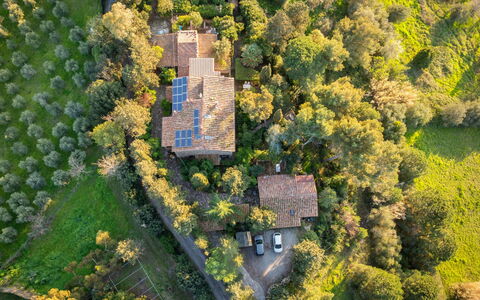 Rosignano Marittimo 13: Tree, Vegetation, Shrub, Architecture, House, Landscape, Home, Rural Area, Plant Community, Estate