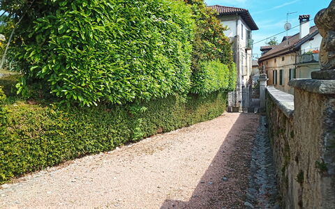 Bellavista Dimora Storica Vista Lago: Green, Leaf, Shrub, Hedge, Groundcover, Garden, Alley, Sidewalk, Walkway, Landscaping
