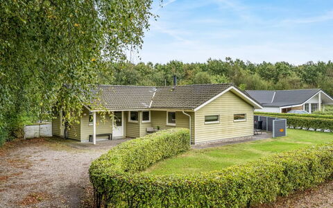 Erikka - 40Km from the Sea: Furniture, Wood, Interior Design, Flooring, Floor, Chair, Room, Ceiling, Living Room, Apartment
