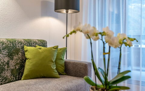 Zell am Ziller 735: Furniture, Interior Design, Wall, Flooring, Couch, Home, Floor, Living Room, Room, Lighting