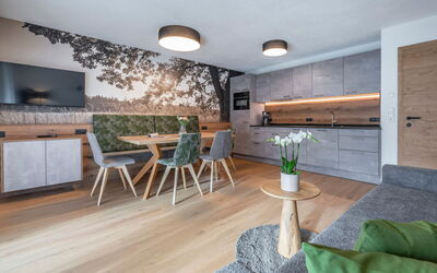 Accommodation:&nbsp;Apart Kreuzjoch 735.4