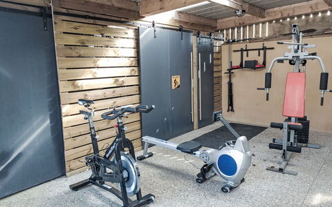 Le Duc: Exercise Equipment, Flooring, Gym, Floor, Room, Exercise Machine, Weightlifting Machine, Basement
