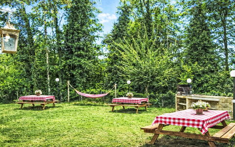 Cotoneaster: Furniture, Garden, Outdoor Furniture, Lawn, Outdoor Table, Park, Yard, Backyard, Chair, Shade