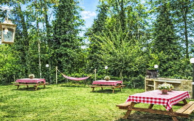 La Collina degli Ulivi