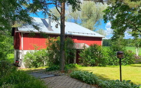 Aurinko Vanaja: Green, Leaf, Tree, Shrub, House, Cottage, Land Lot, Rural Area, Home
