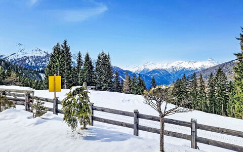 Navis 604: Snow, Blue, Mountainous Landforms, Tree, Winter, Mountain, Mountain Range, Landscape, Hill Station, Highland