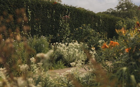 Innes House: Nature, Leaf, Vegetation, Shrub, Plant Community, Garden, Groundcover, Sunlight, Wildflower, Herbaceous Plant