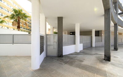 Melior 1