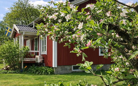 Heagård: Resort, Swimming Pool, Hotel, Resort Town, Seaside Resort, Hacienda, Thermae, Tropics, Villa
