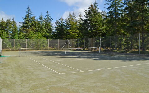 Udder - 1.3Km from the Sea: Tennis Court, Winter, Net, Larch, Evergreen