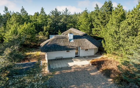 Udder - 1.3Km from the Sea: Furniture, Interior Design, Wood, Ceiling, Flooring, Floor, Wood Flooring, Kitchen & Dining Room Table, Table, Light Fixture