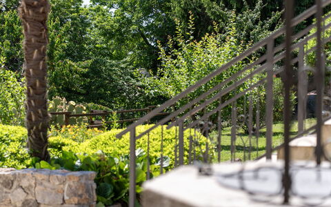Lovran 325: Green, Stairs, Garden, Handrail, Shade, Baluster, Landscaping, Design, Yard, Backyard