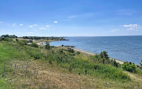 Villa Alvaret: Blue, Water, Body Of Water, Water Resources, Coast, Coastal And Oceanic Landforms, Horizon, Vegetation, Sea, Summer