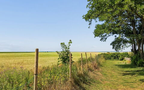 Milan - 20Km from the Sea: Roof, House, Home, Cottage, Door, Siding, Estate, Lawn, Yard, Porch