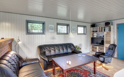 Kate - 700M to the Fjord: Ceiling, Wood, Interior Design, Flooring, Floor, Furniture, Couch, Room, Living Room, Home
