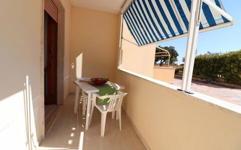 Alice: Wood, Shade, Balcony, Wood Stain, Chair, Outdoor Furniture, Awning