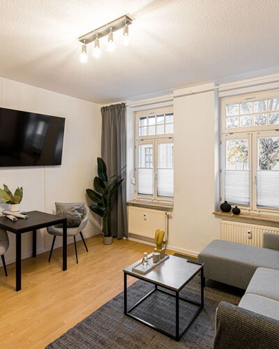Scandinavian Business Apartment