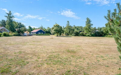 Safina - 1Km from the Sea