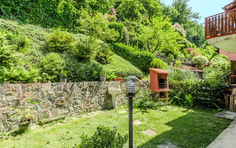 Lidia: Green, Shrub, Garden, Plant Community, Groundcover, Landscaping, Yard, Backyard, Botanical Garden