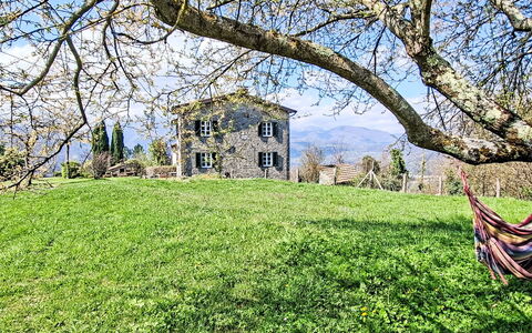 Il Colle di Tiglio: Grass, Shrub, House, Landscape, Home, Grassland, Land Lot, Rural Area, Cottage, Lawn