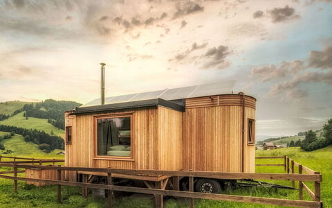 Boutique Tiny House: Wood Stain, Hardwood, Log Cabin, Garden Buildings
