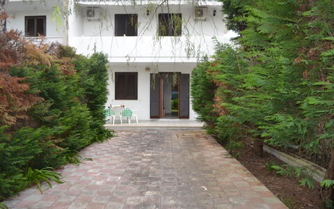 Amanda: Garden, Yard, Backyard, Evergreen