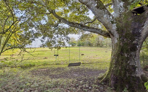 Sigbritt - 3.7Km from the Sea: Branch, Leaf, Grass, Tree, Natural Environment, Grassland, Trunk, Plain, Twig, Land Lot