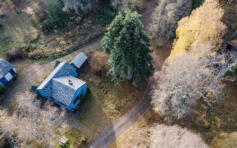 Fishermans Riverside Combi: Tree, Leaf, Branch, Cottage, Home, Rural Area, Forest, Twig, Woodland, Garden Buildings