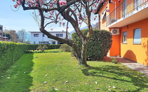 Sailor'S Home: House, Home, Lawn, Garden, Yard, Backyard, Shade, Landscaping, Hedge, Home Fencing