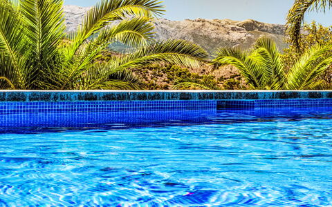 Coin 2: Blue, Water, Swimming Pool, Resort, Tropics, Eco Hotel, Hotel, Water Feature