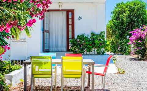 Coin 2: Furniture, Flower, Chair, Table, Pink, Outdoor Furniture, Garden, Landscaping, Outdoor Table, Shade