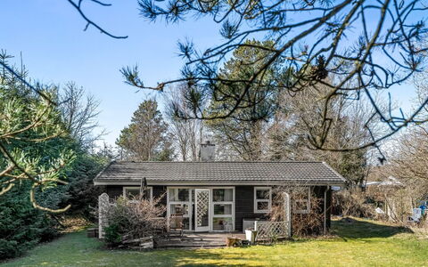 Jamie - from the Sea: Tree, Branch, Building, Window, House, Home, Shrub, Cottage, Roof