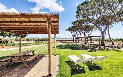 Bibbona 15: Shade, Garden, Lawn, Landscaping, Park, Outdoor Structure, Lumber