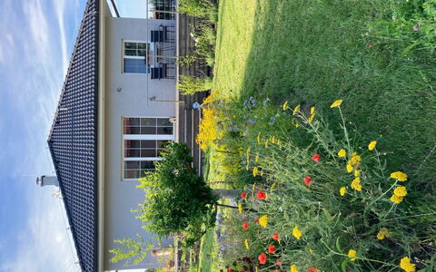 Hillside View: Green, House, Home, Garden, Spring, Lawn, Yard, Backyard, Shade, Landscaping