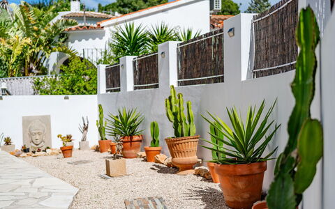 Rincón del Sol: Furniture, Wood, Chair, Floor, Sea, Balcony, Fence, Deck, Hardwood, Wood Stain