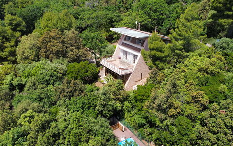 Villa Sole - Exclusive Villa al Conero con Piscina: Vegetation, Home, Estate, Cottage, Jungle, Eco Hotel, Villa, Evergreen, Mansion, Balcony